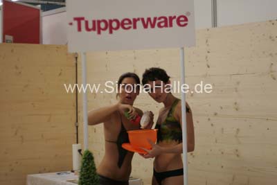Regio-Show 2007 - 213