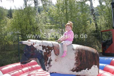 Regio-Show 2007 - 522
