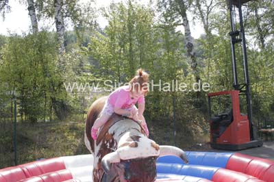 Regio-Show 2007 - 523