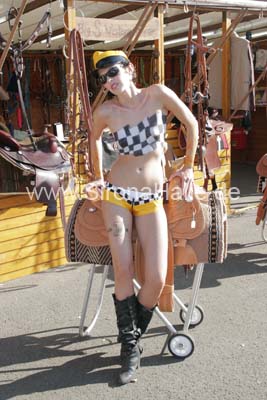 Regio-Show 2007 - 857